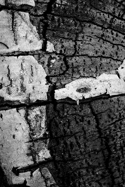 <b>Decay</b></p>
Image #D10543</p>