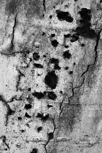 <b>Decay</b></p>
Image #D10552</p>